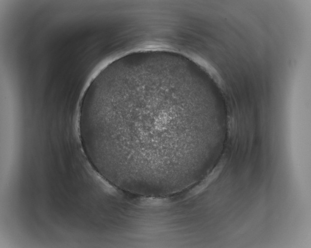 X0000111211374200907081253