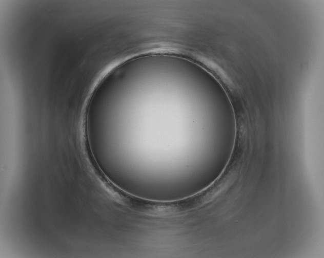 X0000111211375200907081253