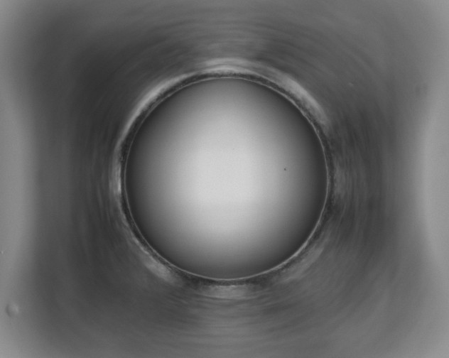 X0000111211376200907081253