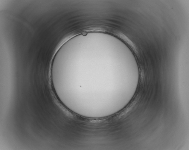 X0000111211378200907081253