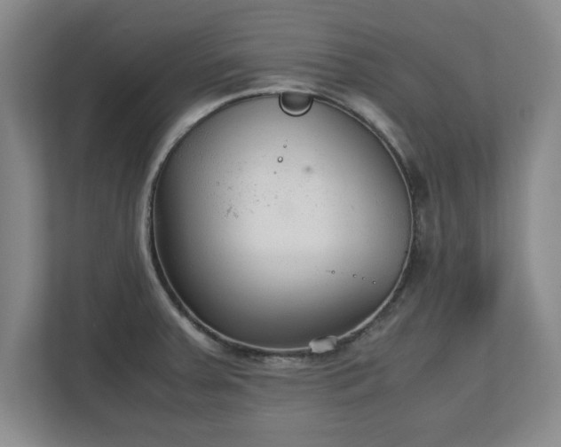 X0000111211379200907081253