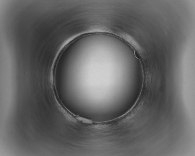 X0000111211380200907081253