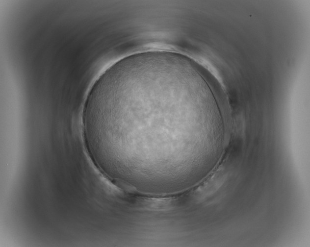 X0000111211381200907081253