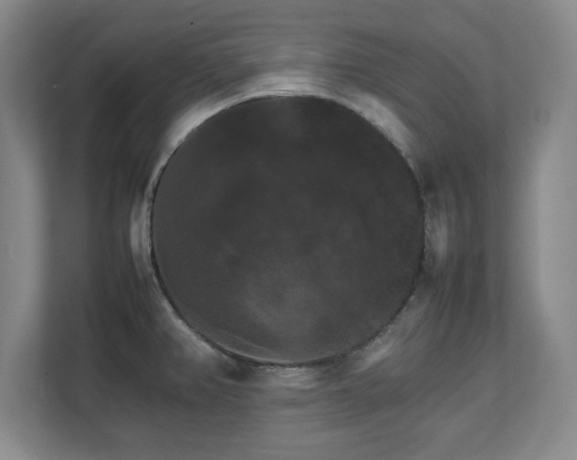 X0000111211382200907081253