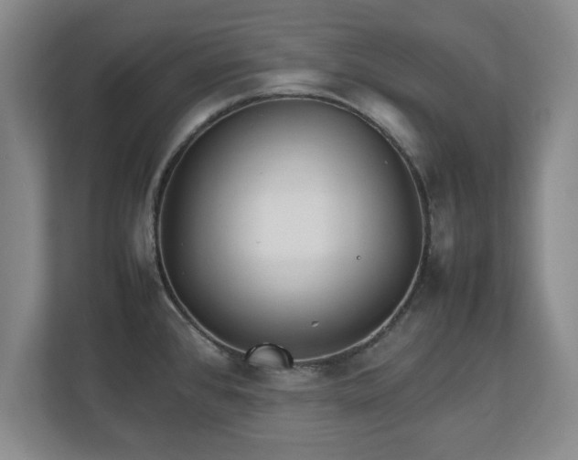 X0000111211384200907081253