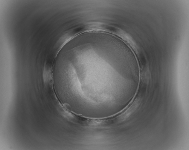 X0000111211385200907081253