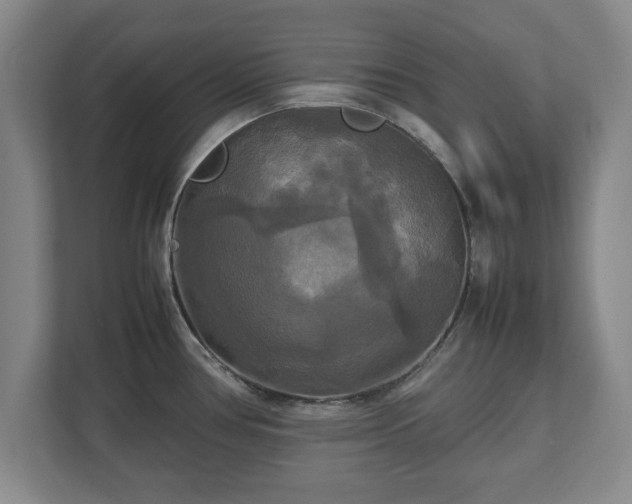 X0000111211386200907081253