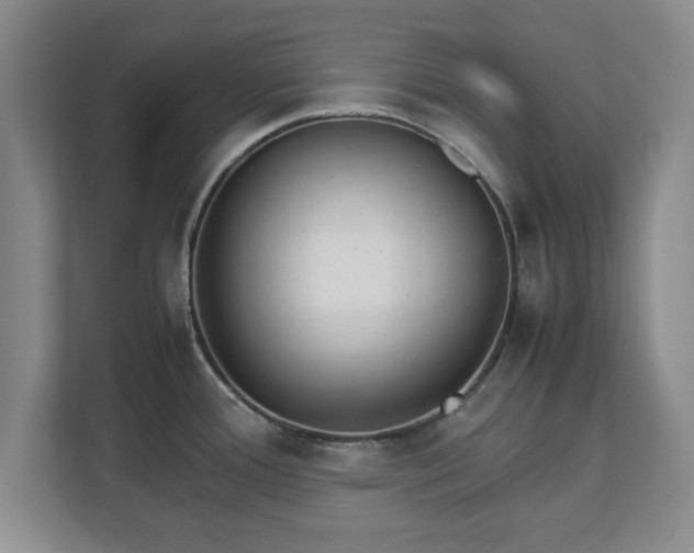 X0000111211388200907081253