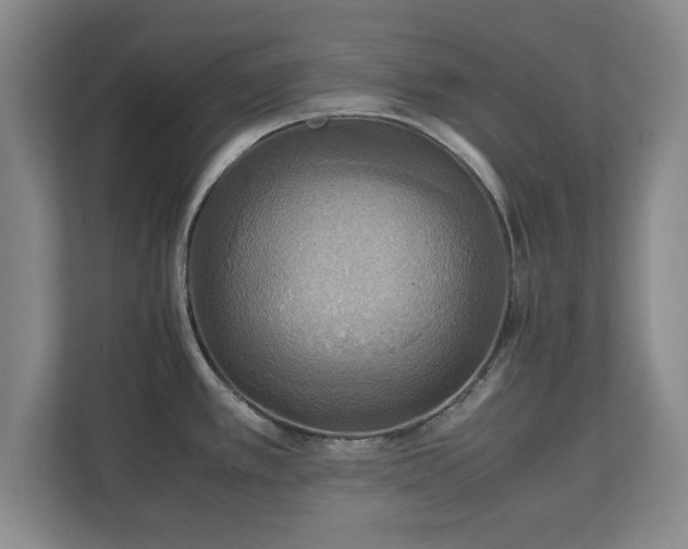 X0000111211389200907081253