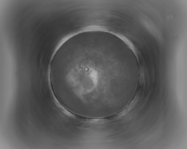 X0000111211390200907081253