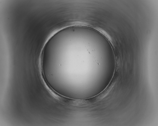 X0000111211391200907081253