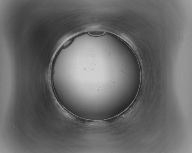 X0000111211392200907081253