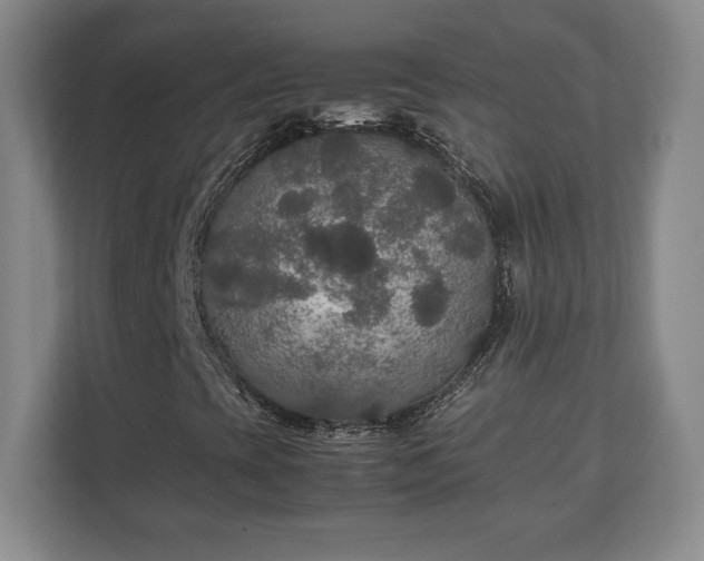 X0000111211393200907081252