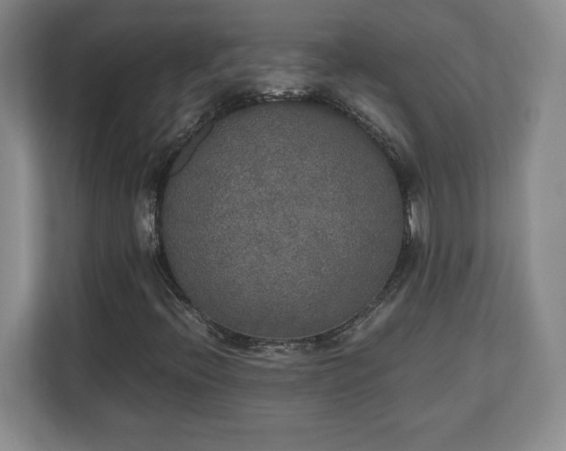 X0000111211396200907081252