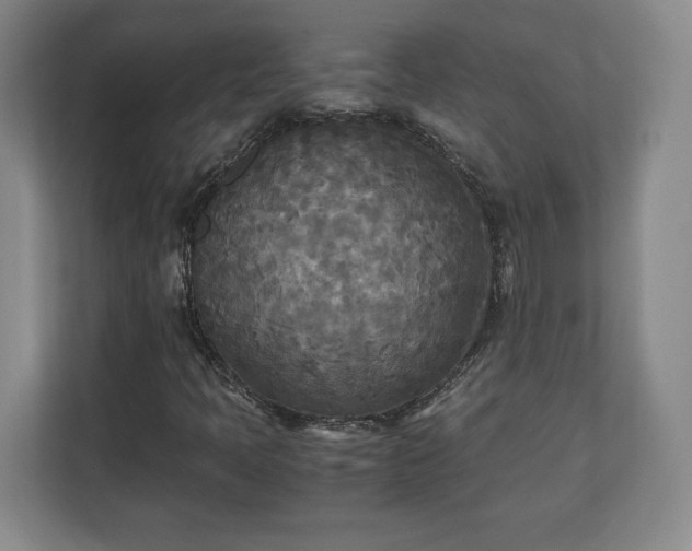 X0000111211397200907081252