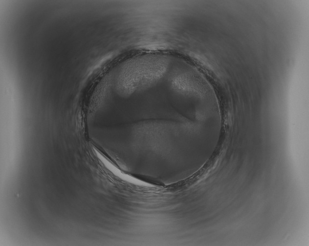 X0000111211398200907081252