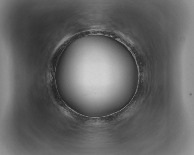 X0000111211400200907081252