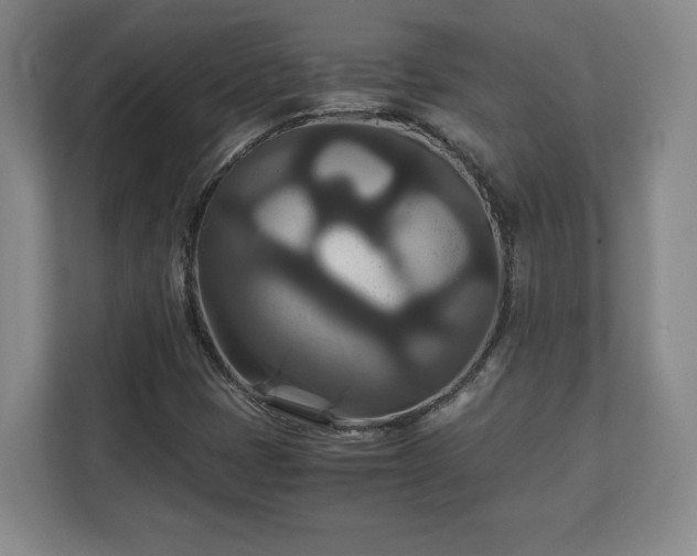 X0000111211401200907081252