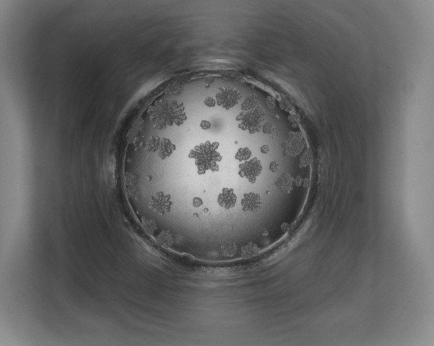 X0000111211402200907081252