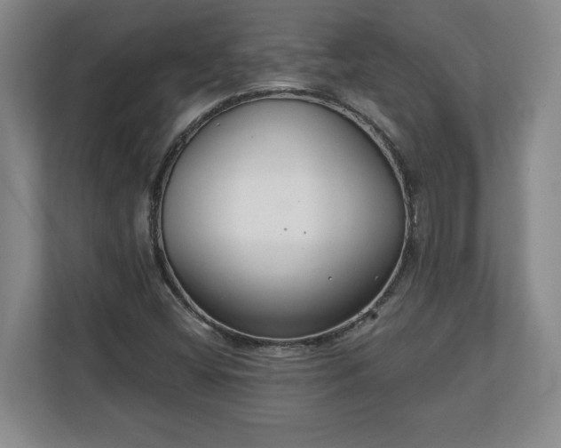 X0000111211404200907081252