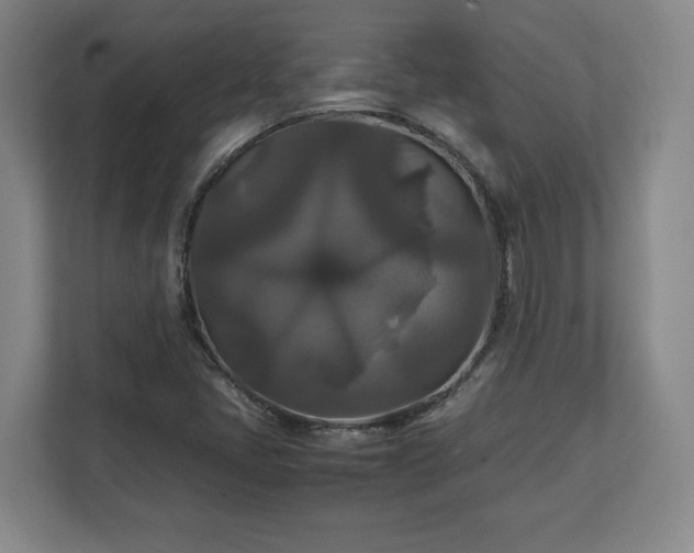 X0000111211405200907081252