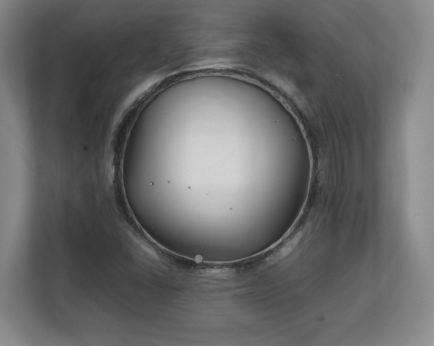 X0000111211406200907081252