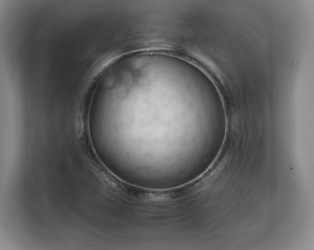 X0000111211407200907081252