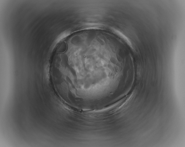 X0000111211411200907081252