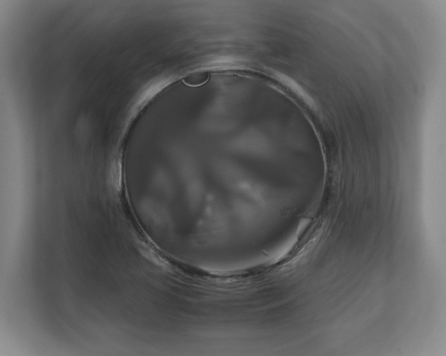 X0000111211413200907081253