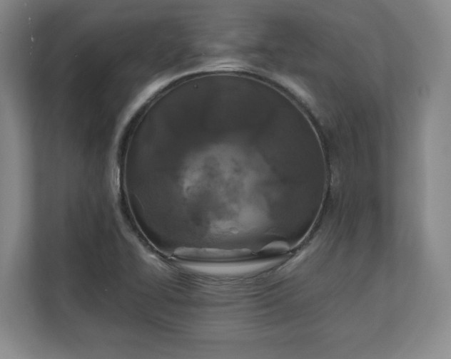 X0000111211414200907081253