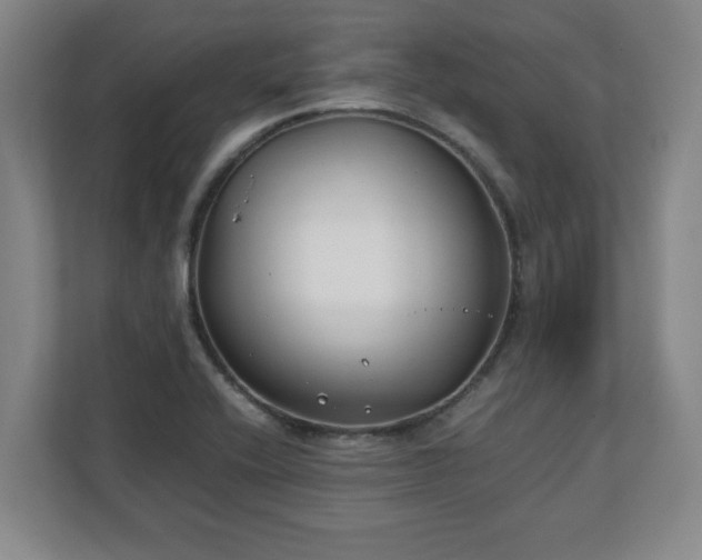 X0000111211416200907081253