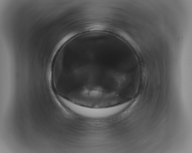 X0000111211418200907081253