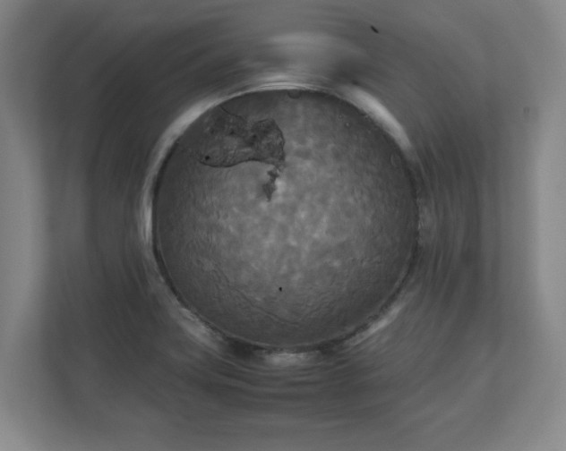 X0000111211419200907081253