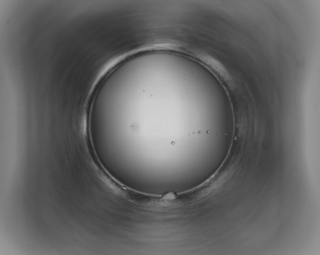 X0000111211420200907081253