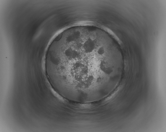 X0000111211421200907081253