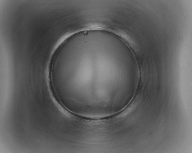 X0000111211422200907081253