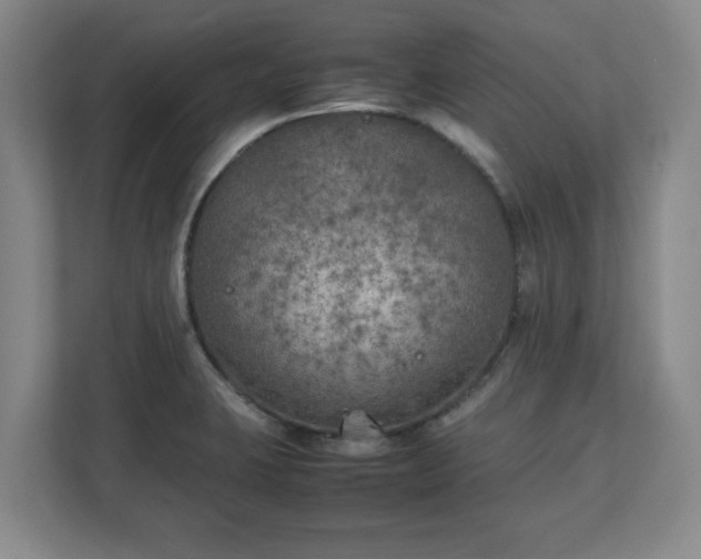 X0000111211423200907081253