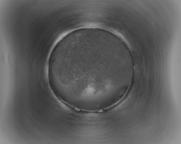 X0000111211424200907081253