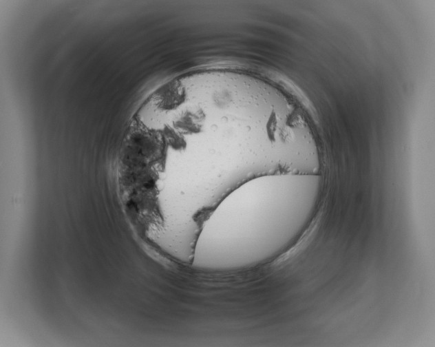 X0000111211425200907081253