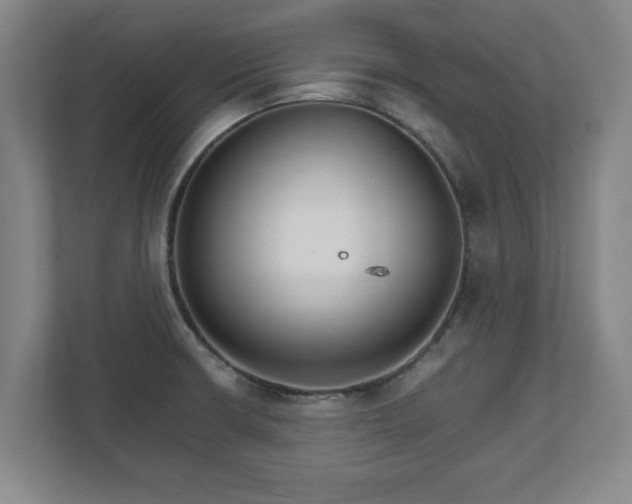 X0000111211426200907081253