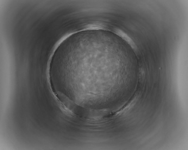 X0000111211427200907081253