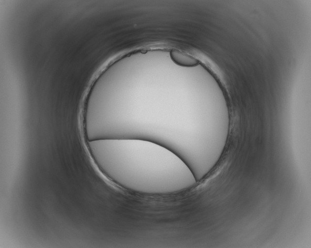 X0000111211429200907081253