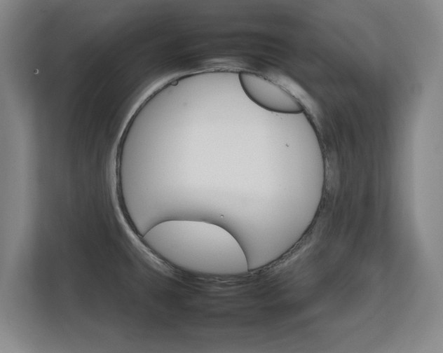 X0000111211431200907081253