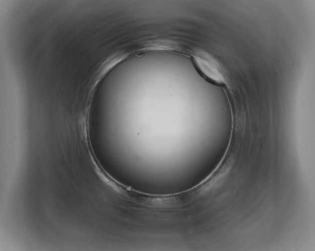 X0000111211433200907081253