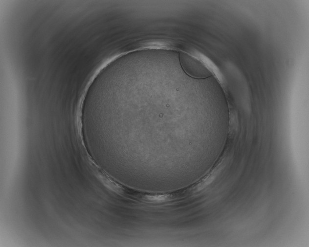 X0000111211435200907081253