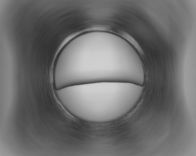 X0000111211436200907081253