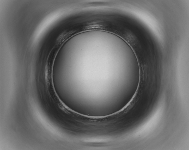 X0000111211438200907081253