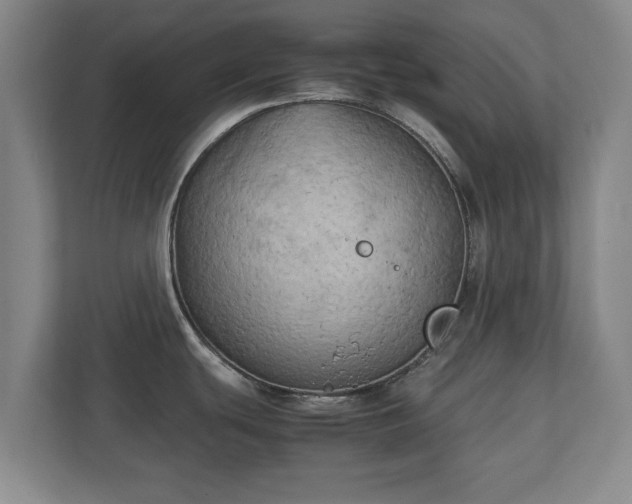 X0000111211439200907081253