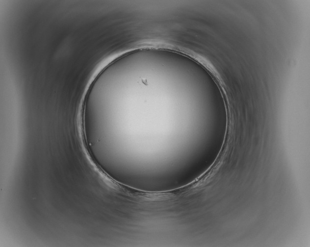 X0000111211440200907081253