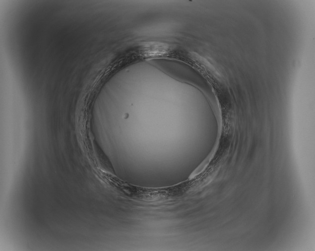 X0000111211441200907081252